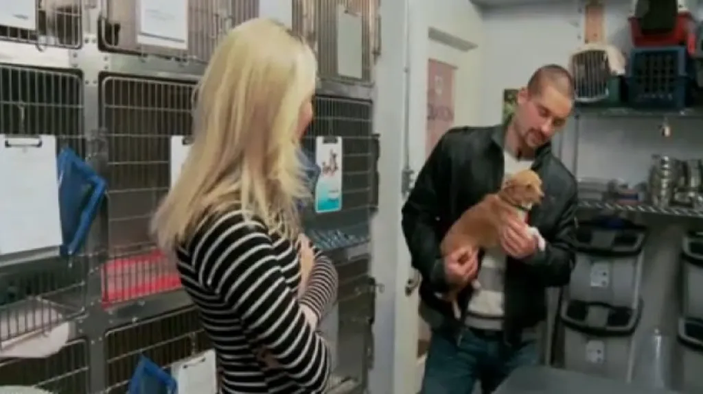 Tomáš Plekanec v útulku