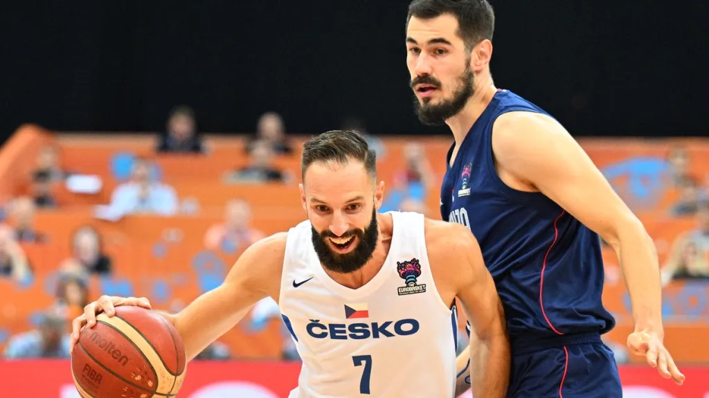 Česko - Srbsko, Vojtěch Hruban, Nikola Kalinič