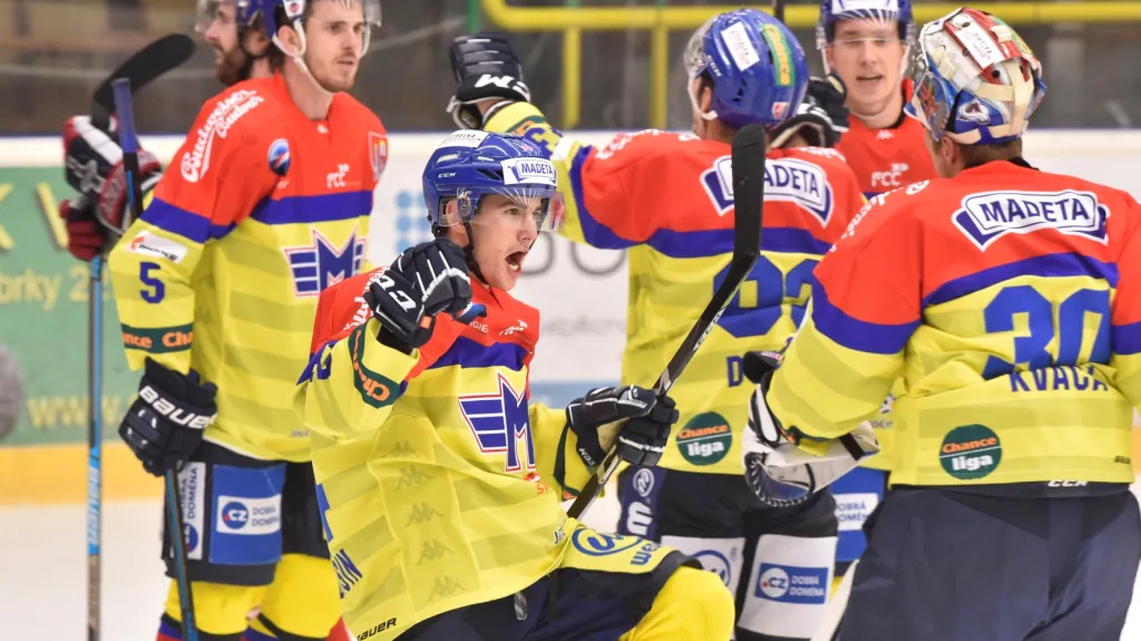 Hokejisté Českých Budějovic