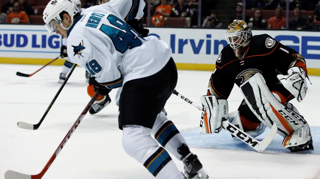 Tomáš Hertl v utkání proti Anaheimu