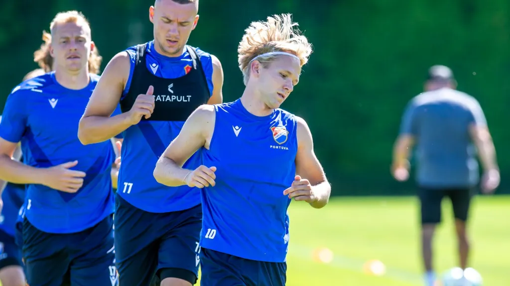 Michal Frydrych se spoluhráči