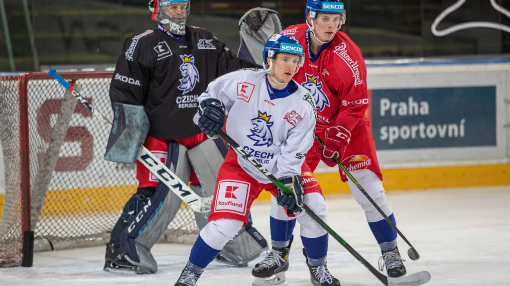 Dominik Frodl v reprezentačním dresu