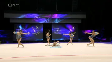 Gymnastky obsadily na mistrovství Evropy čtrnácté místo v dvojboji