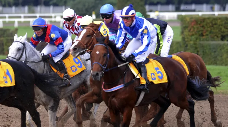 Zahraniční koně na Velké pardubické