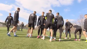 Lvíčata čeká důležitá kvalifikace proti Islandu