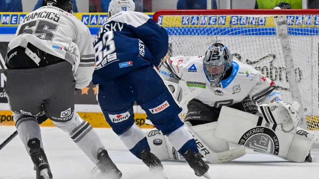 Roberts Mamčics, Šimon Stránský a karlovarský brankář Dominik Frodl