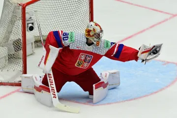 Brankář Daniel Vladař v akci