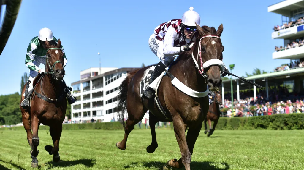 Zarif s žokejem Josefem Bartošem