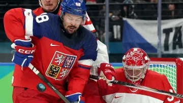 Záznam utkání Česko – Dánsko