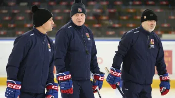 Hokejová reprezentace se sešla k přípravě před Švédskými hrami