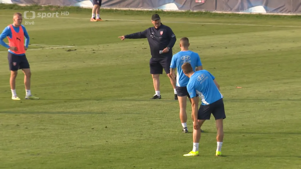 Lvíčata by ráda na slovenském Euru navázala na Brüknerův výběr