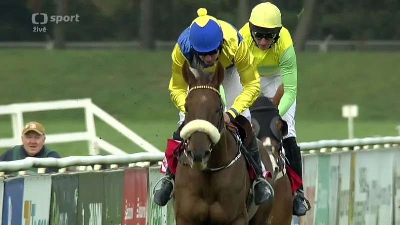 Cena města Pardubic s ohlasy