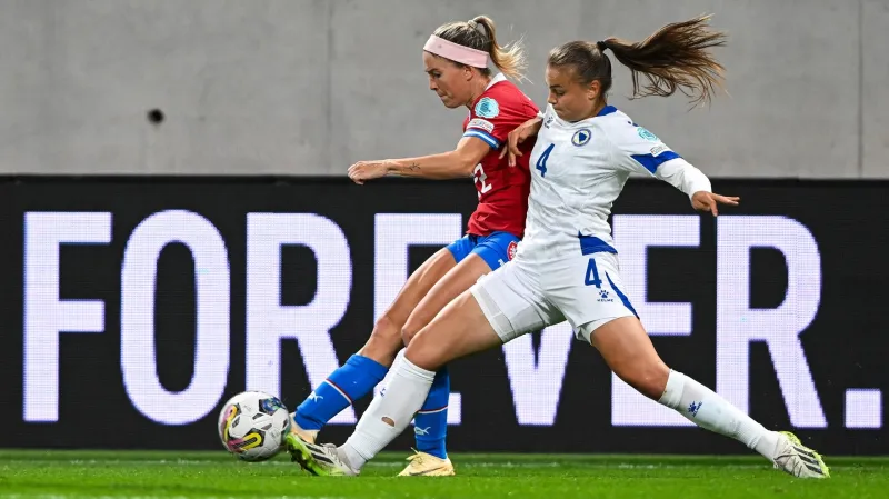 Sestřih a ohlasy utkání Česko – Bosna a Hercegovina