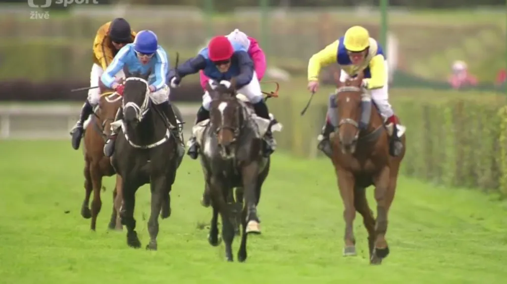 Kousek vyhrál Křišťálový pohár města Pardubic