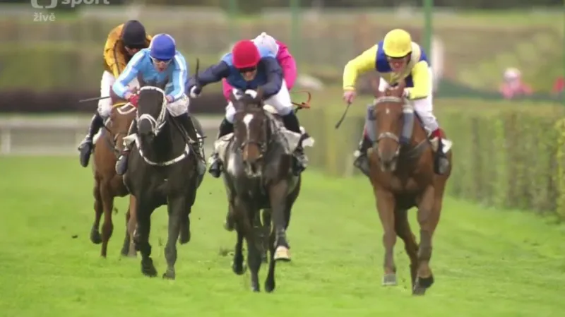 Kousek vyhrál Křišťálový pohár města Pardubic