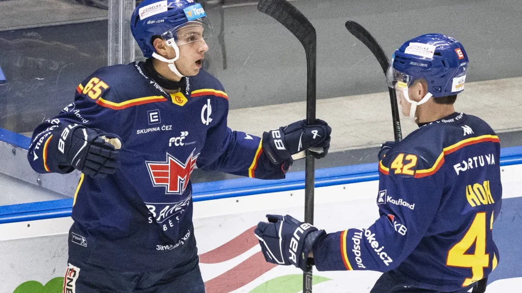 Hokejisté Českých Budějovic