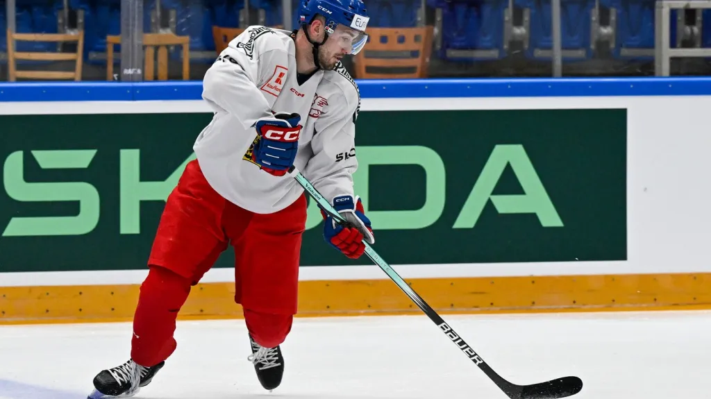 Filip Zadina