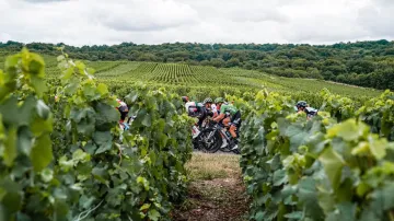 Cyklistky mezi vinicemi regionu Champagne