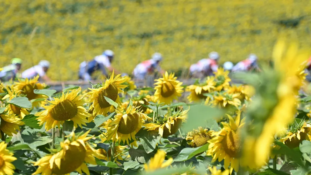 Tour de France