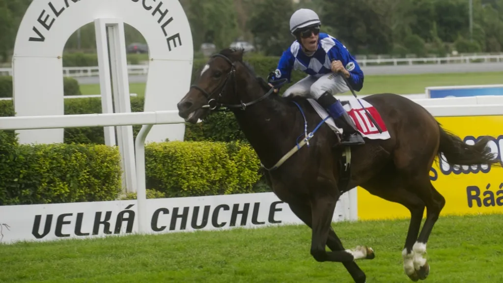 Jiří Chaloupka s koněm Kadynym