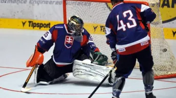 Utkání Česko - Slovensko