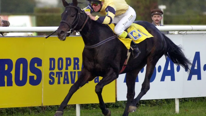 Dvojka bez konkurence: Registana a Gehm ve Velké v roce 2004