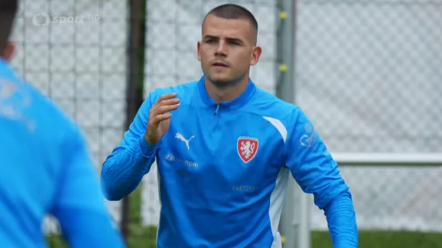 Lvíčata povede na Euru jako kapitán Sejk