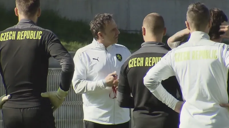 Lvíčata se pokusí proti Španělům o senzaci. Musíme být odvážní, velí Ostrák