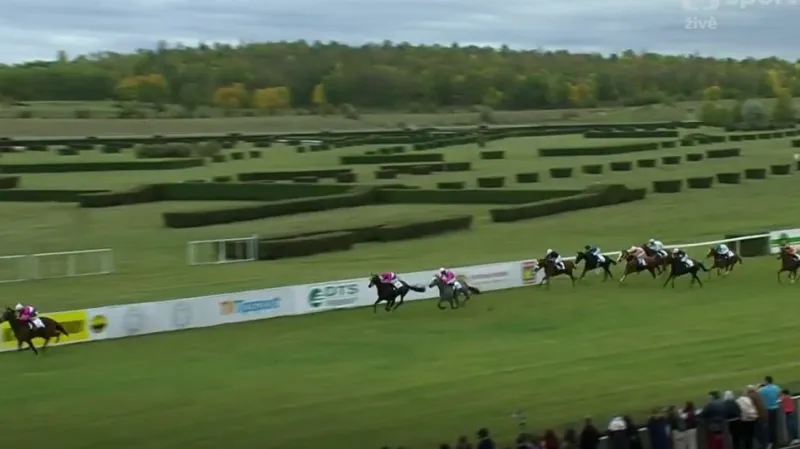 Hlavní dostih Cena zimního favorita