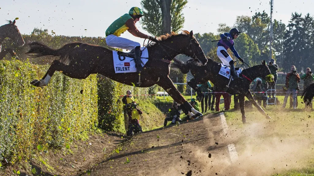 Talent a Dulcar de Sivola skáčou přes Taxis ve Velké pardubické