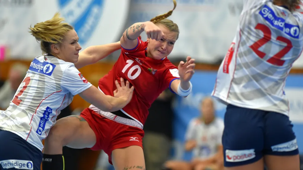 Utkání Česko - Norsko