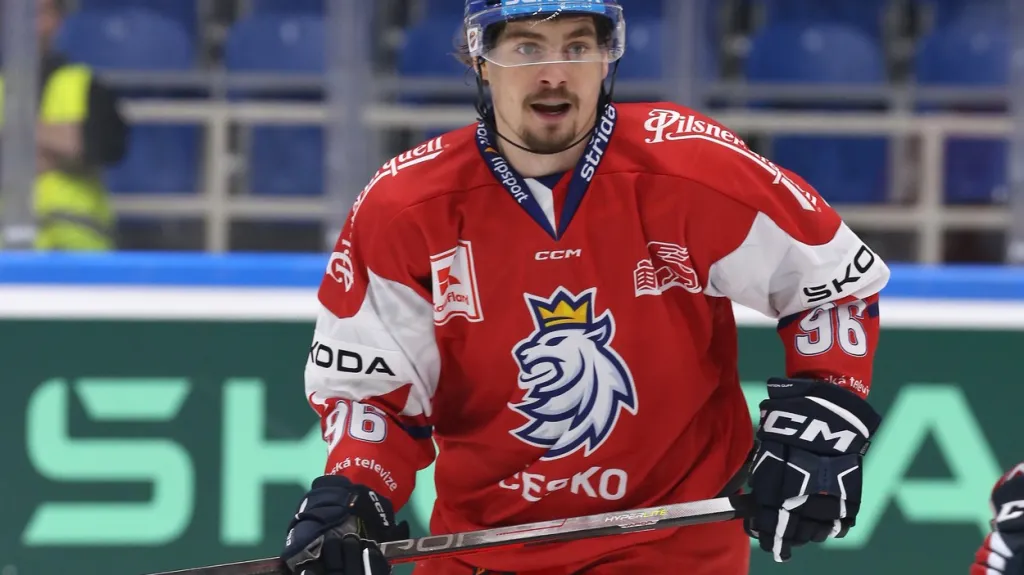 David Tomášek