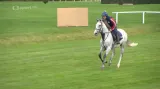 Velké pardubické se zúčastní také tři zahraniční koně