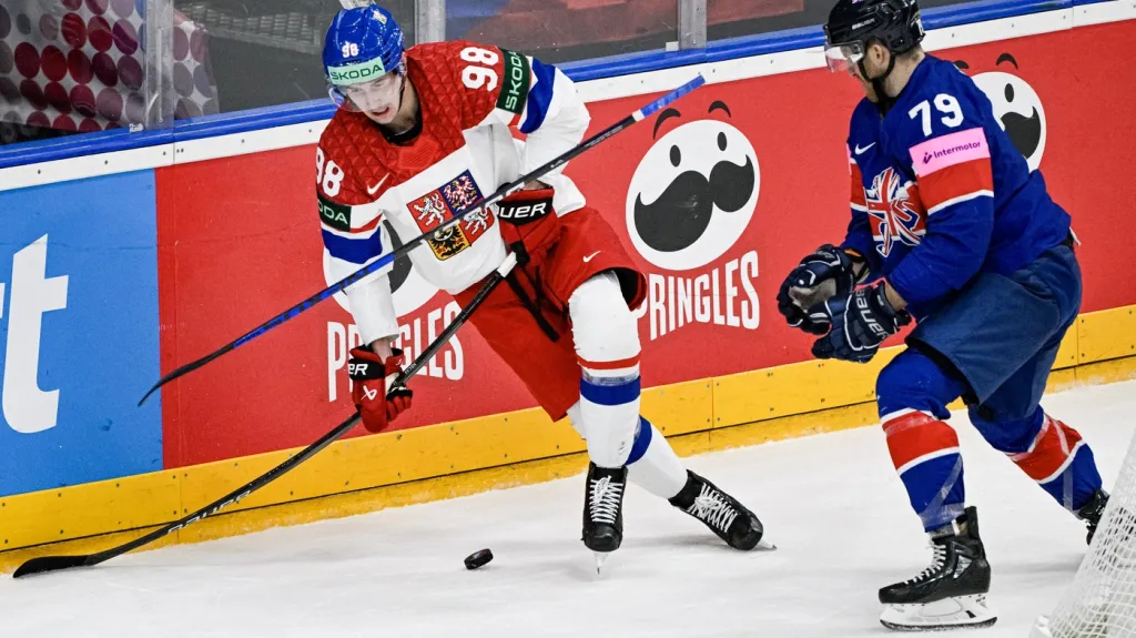 Martin Nečas v utkání s Velkou Británií