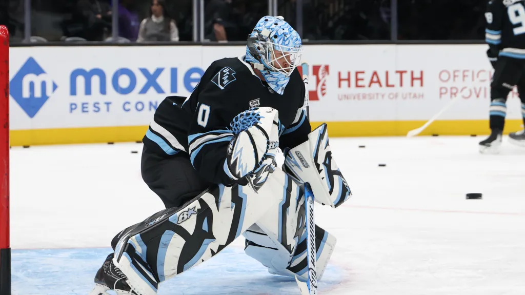 Karel Vejmelka v utkání Utahu s Floridou