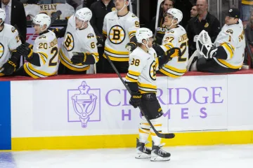 David Pastrňák oslavující gól