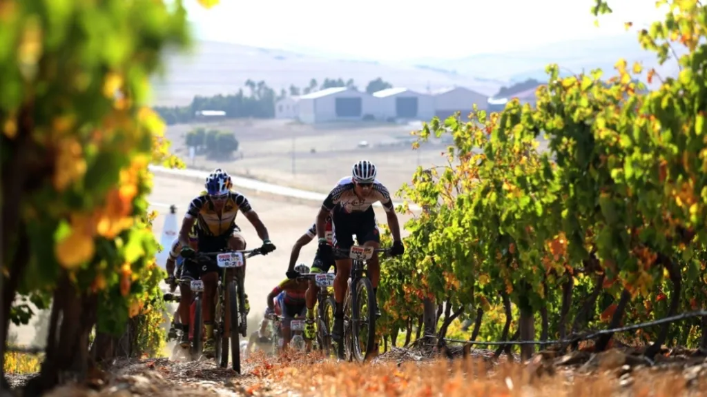 Cyklisté se na Cape Epic proplétají i vinicemi
